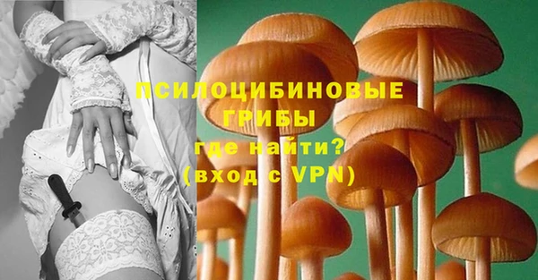 соль ск Бородино