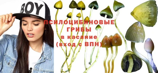 MDMA Premium VHQ Верхний Тагил