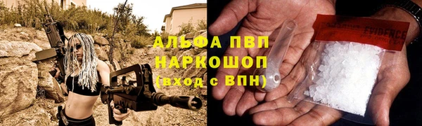 соль ск Бородино