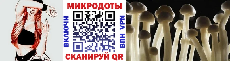 хочу наркоту  Истра  Псилоцибиновые грибы прущие грибы 