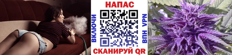 сколько стоит  Истра  площадка формула  Бошки Шишки AK-47 